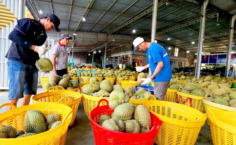 ĐIỂM THU MUA NHƯỢNG QUYỀN TÀI 001