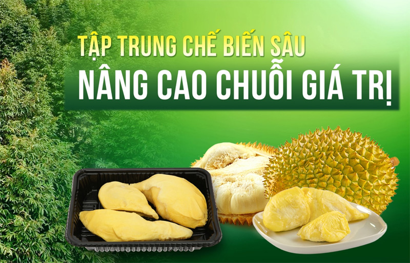 CHUỖI GIÁ TRỊ SẦU RIÊNG VIỆT NAM