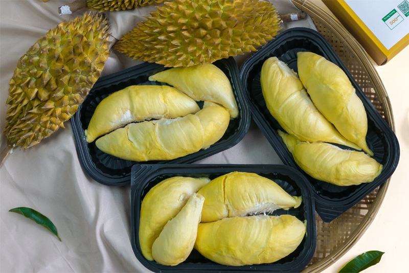 Sầu riêng Monthong xuất khẩu – Cung ứng sầu riêng chất lượng cao