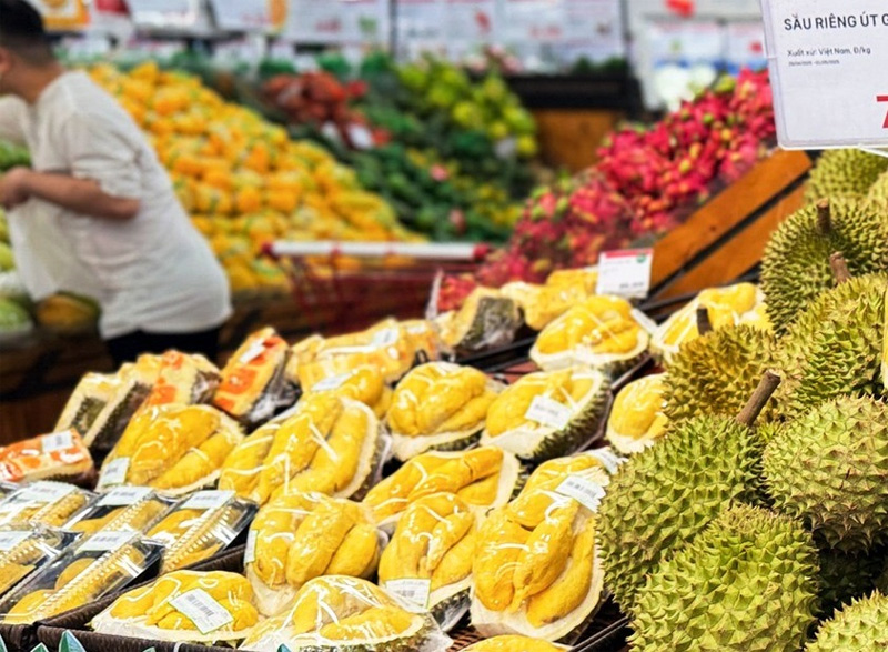 Tin Tức Ngành Sầu Riêng