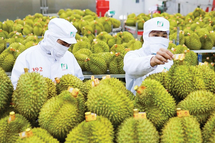 Ngay sau khi nhận được yêu cầu, chúng tôi sẽ liên hệ lại quý khách trong thời gian sớm nhất! Hoặc gọi vào số hotline 0942 672 044 nếu quý khách cần tư vấn gấp!