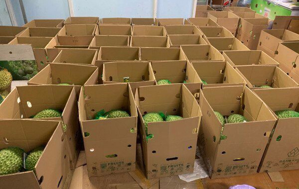 <p style="text-align: center;" data-start="908" data-end="938"><strong>Kiểm Định & Đ&oacute;ng g&oacute;i</strong></p>