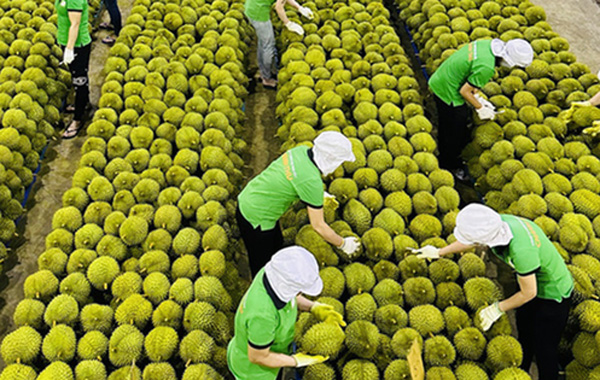 <p style="text-align: center;"><strong>Hợp t&aacute;c đầu tư</strong></p>