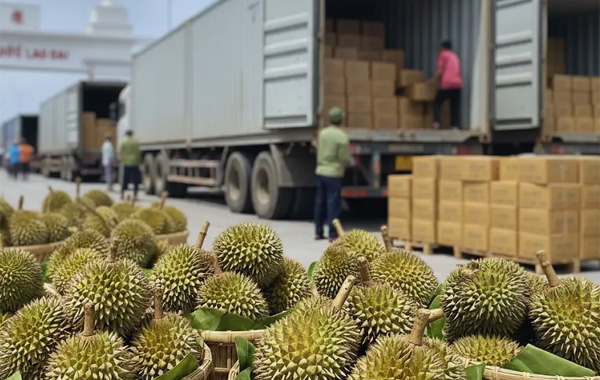 <p style="text-align: center;"><strong>Logistics & vận chuyển</strong></p>