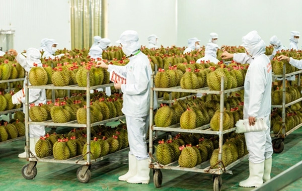 <p style="text-align: center;"><strong>Quản l&yacute; chất lượng</strong></p>