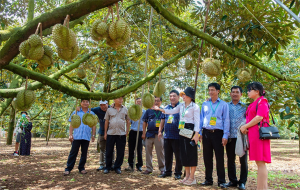 <p style="text-align: center;"><strong>Quản l&yacute; hợp t&aacute;c n&ocirc;ng d&acirc;n</strong></p>