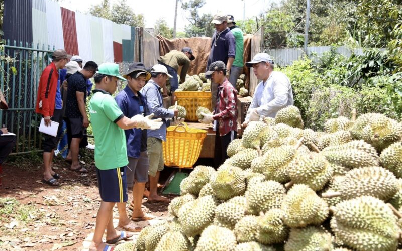 <p style="text-align: center;"><strong>Điểm thu mua nhượng quyền thương hiệu</strong></p>